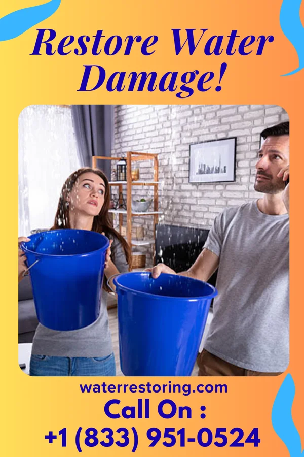 water restoration Rapid Flood Damage Specialists Glenville